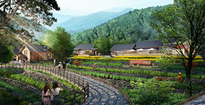 田園康養旅居專題研究